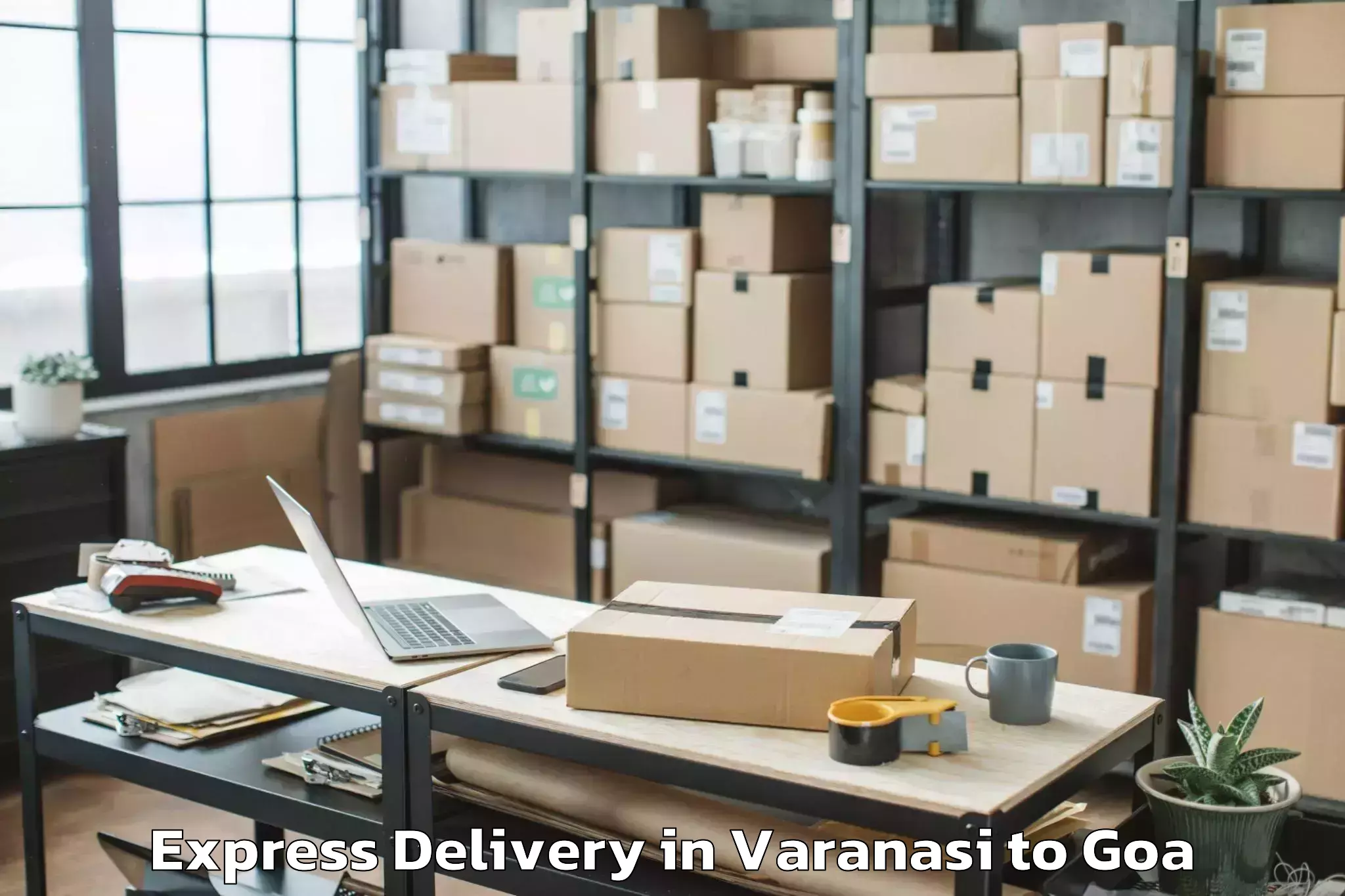 Professional Varanasi to Sanguem Express Delivery